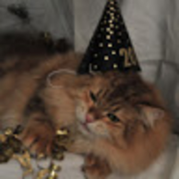 Meet your Posher, Vickie - Picture 1 of 1